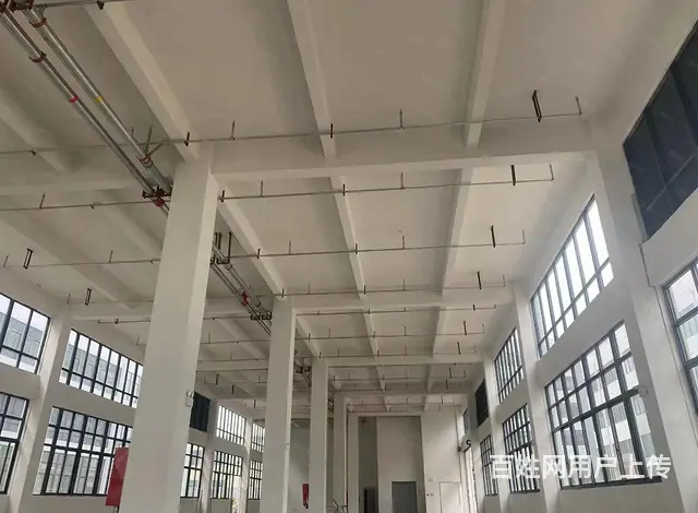 （高速口）1200至6千平厂房，有大货梯，丙类喷淋，独立产证 - 图片 6