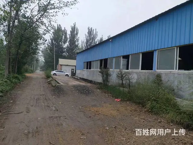 （徐州找店网） 沛县鹿楼厂房出租 - 图片 12