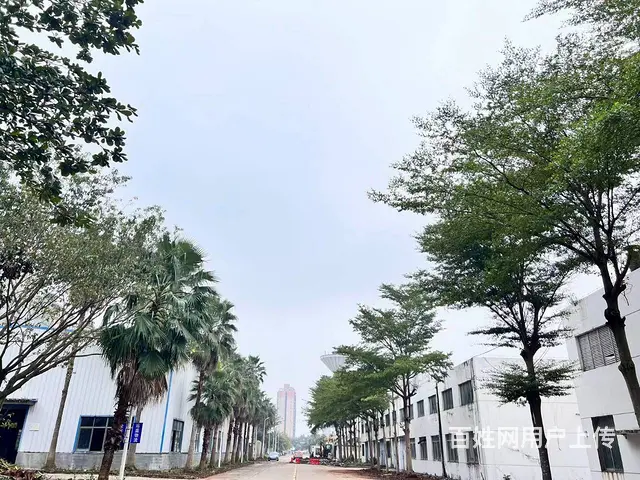 （51旺铺推荐）丘海大道场地招租 - 图片 3