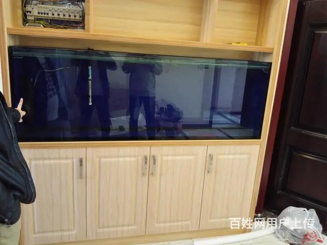 专业清理大型鱼缸，零售鱼食鱼药，鱼缸，各类观赏鱼 - 图片 7