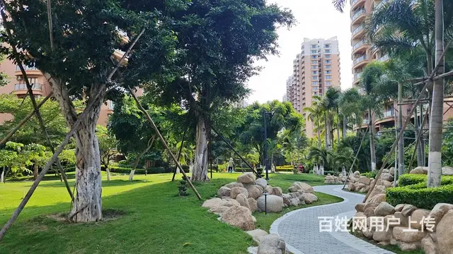 【搞定了！】龙栖湾温泉1号 普通住宅 中等装修 - 图片 6