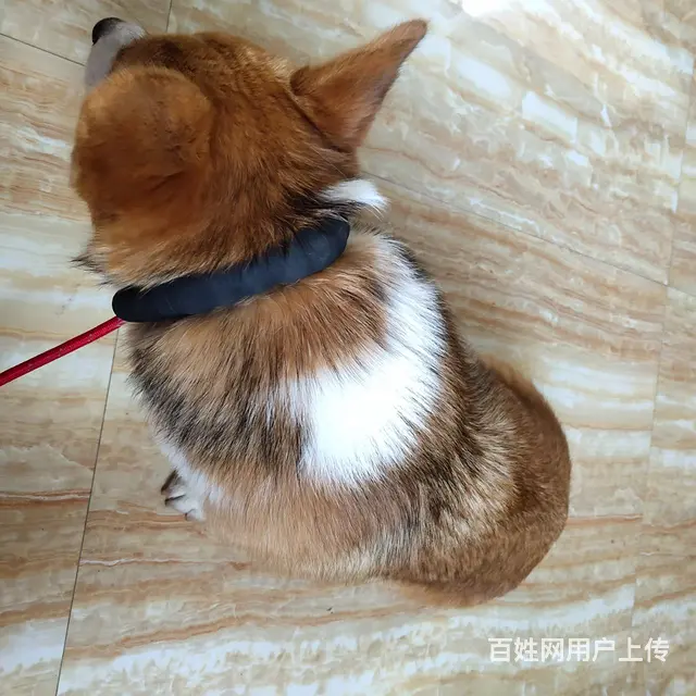 线下交易 - 图片 4