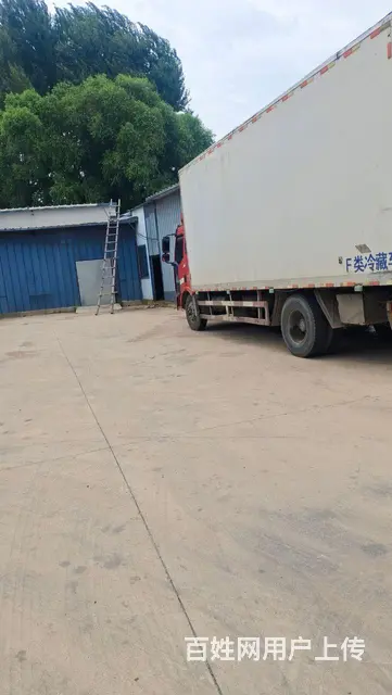 解放 冷藏车 国4 - 图片 2