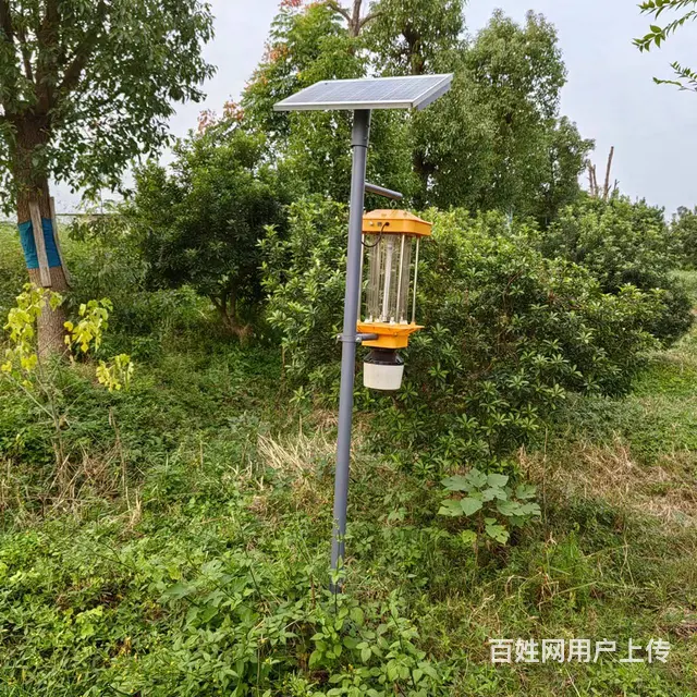 太阳能频振式杀虫灯 电击式杀虫灯 养殖鱼塘农田专用 - 图片 1