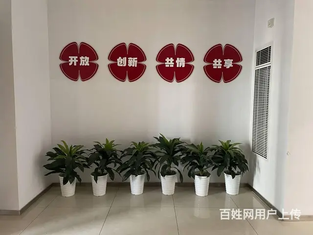 苏州通安虎丘学英语虎丘新概念英语一对一小班授课学多 - 图片 3