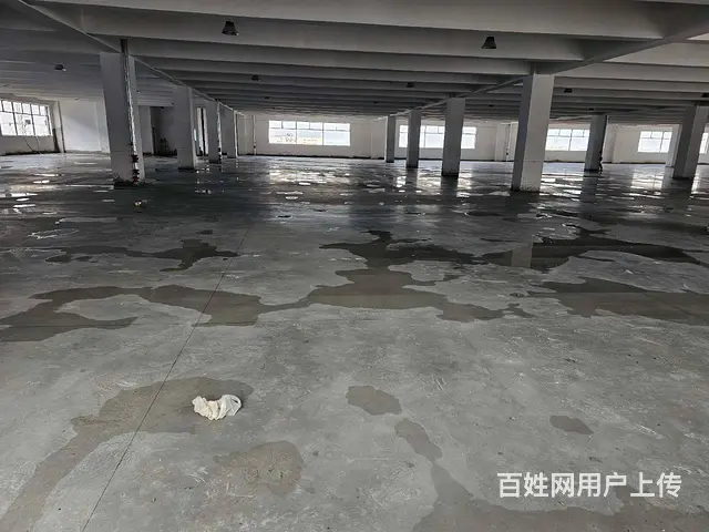 董浜全新厂房1至4层14000平，可分租，高8米，随时可用。 - 图片 8