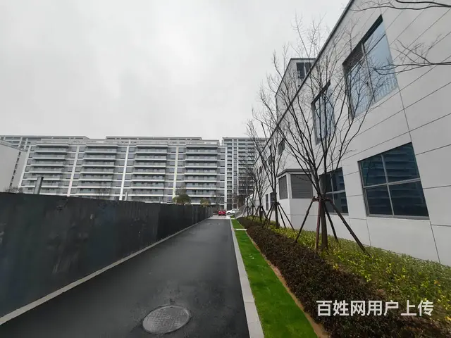 房东直租！东阳歌山超市2楼3800平出租！可分租 - 图片 6