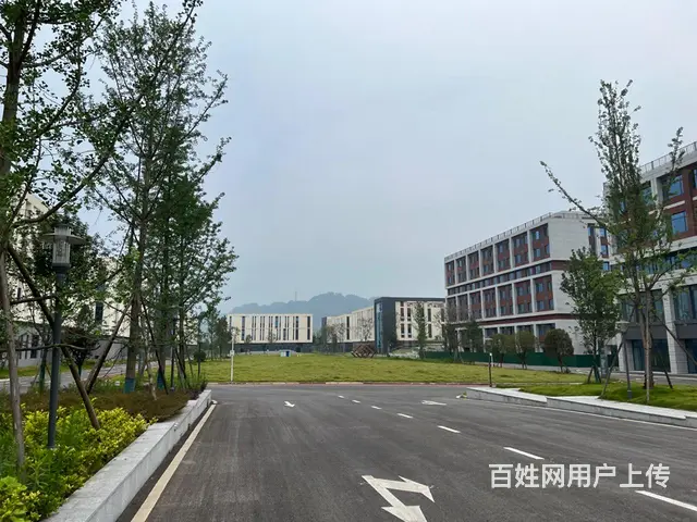 免租金厂房出租，有食堂宿舍 - 图片 5