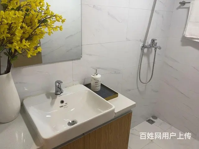 西溪美岸，未来科技芯，4.79米双钥匙双户，阿里全 - 图片 5