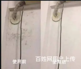 广州天河岗顶除霉公司，墙体去霉服务，房子顶部除发霉 - 图片 2