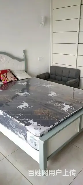 金博星城 普通住宅1厅 精装修 - 图片 2