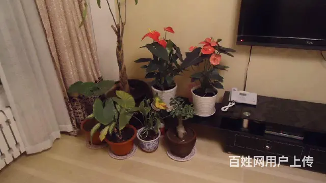 出租沈铁和谐佳园87平双室 - 图片 8