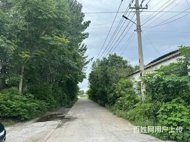 （城市在线 找房免费）潘塘禹王庙附近厂房（仓库）出租 - 图片 4