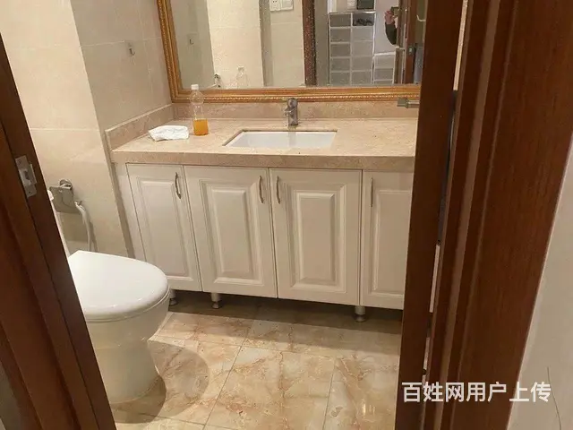 狮城广场 沃尔玛 三房 电梯 家电齐全 - 图片 5