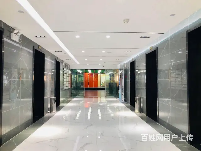代理记账：企业会计制度建账、记账，出具财务报 - 图片 7