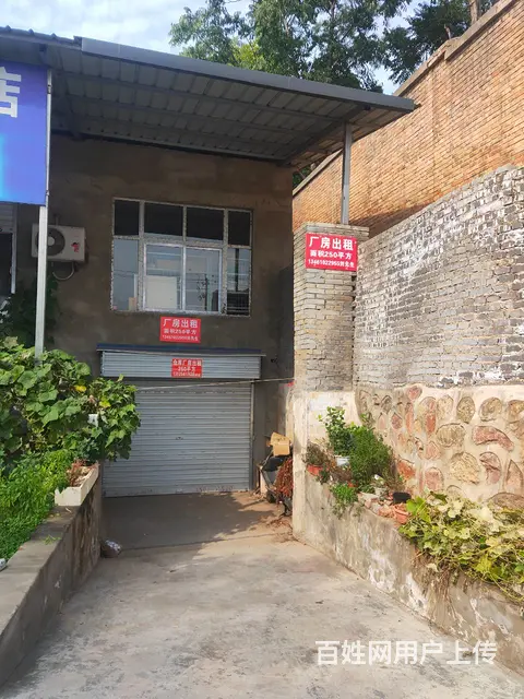 涧西区天津路与周山大道附近厂房出租 - 图片 3