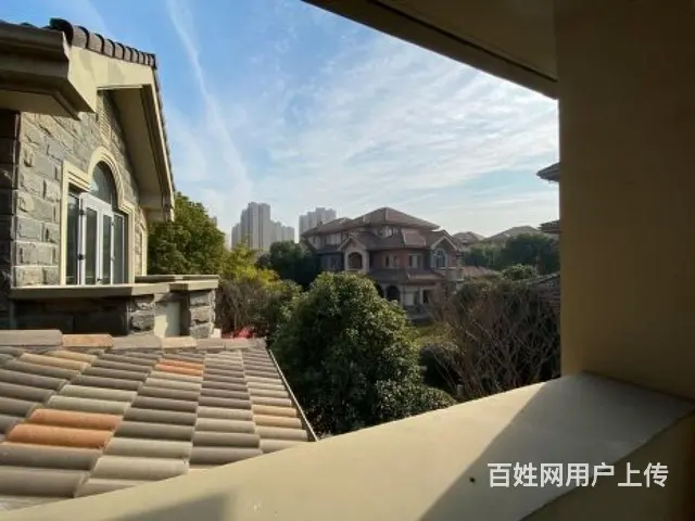 恐龙园(美林湖别墅) 低密度 不靠马路 随时可看房！ - 图片 1