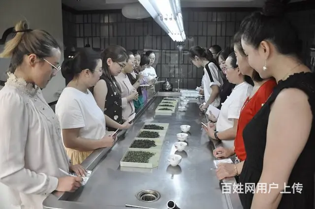 免费学茶艺 - 图片 12