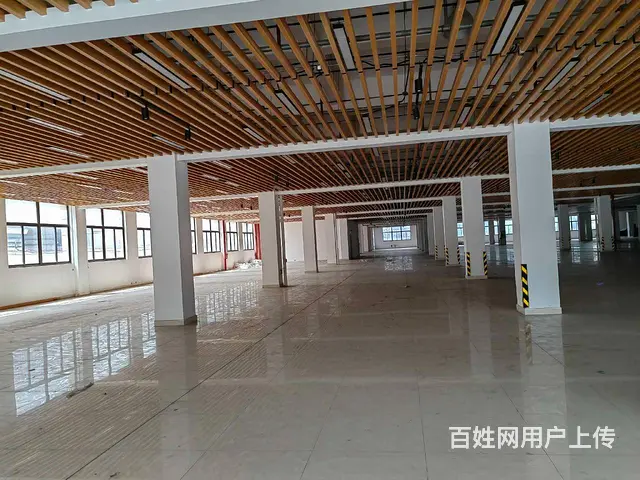 高新区高架8000平，可分租，形象好，有坡道，汽车可开上楼。 - 图片 6