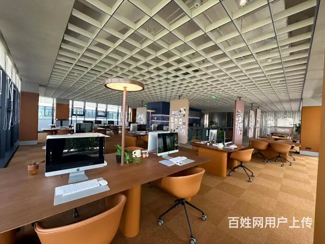 MAX科技园2600方独栋写字楼花园式,可服装 会所特价1万 - 图片 7
