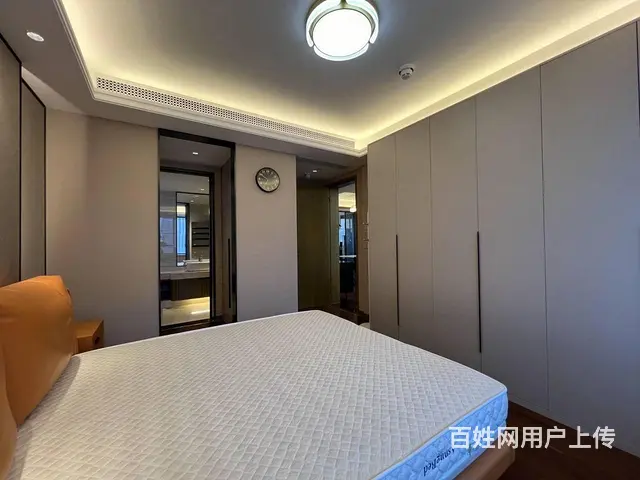 海珀滨江，带梯控，隐私性较好，绿地缤纷城，万象城边 - 图片 7
