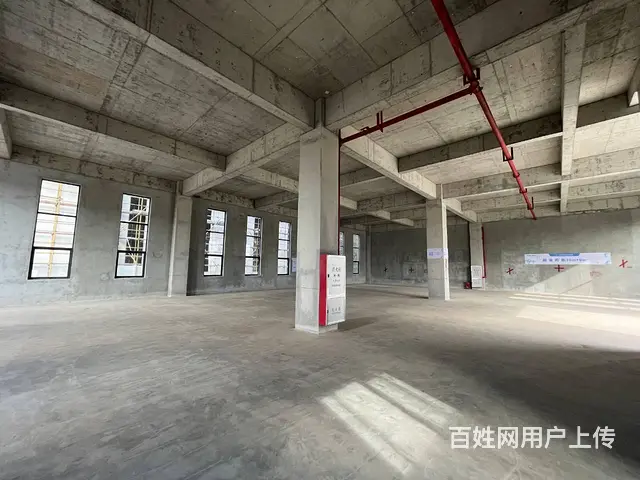 江门高新区厂房 - 图片 9