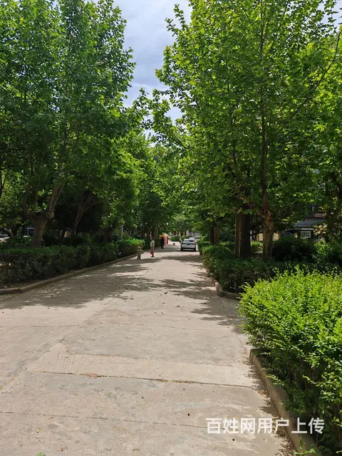 自立中学对面铁20局小区出租 - 图片 2
