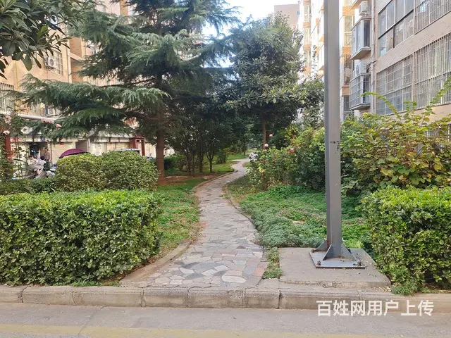 出租 - 图片 2