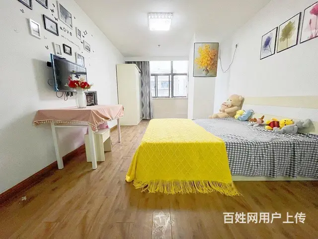 房東直租 月河 华庭街 多套公寓出租 拎包入住 全新配置 - 图片 4