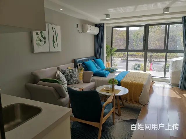 通燃气，通燃气城南核心 明湖之腹复式挑高公寓，可做两室 - 图片 5