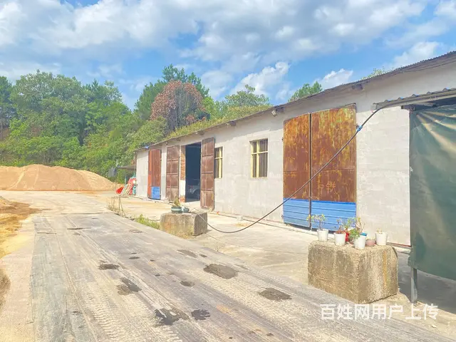 （房东直租）天心区尚双塘，芙蓉南路旁360平厂房，仓库出租 - 图片 6