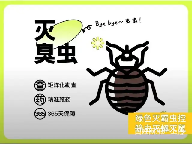除百虫除四害灭蟑螂、灭蚂蚁、灭老鼠、灭蚂蚁 - 图片 3