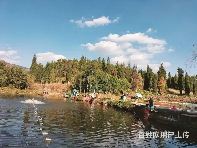 （51旺铺推荐）安宁5亩3个鱼塘转让 - 图片 9