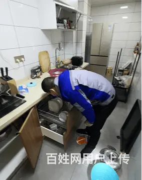 商丘灭鼠公司丶灭鼠杀虫公司 - 图片 2