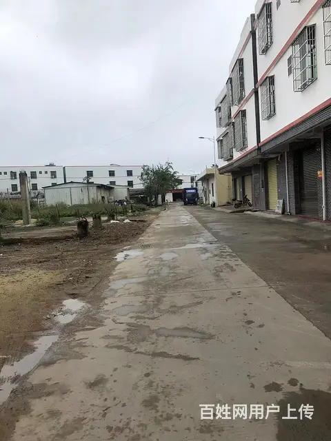 办公、仓库、住宅三层楼房整栋出租 - 图片 3