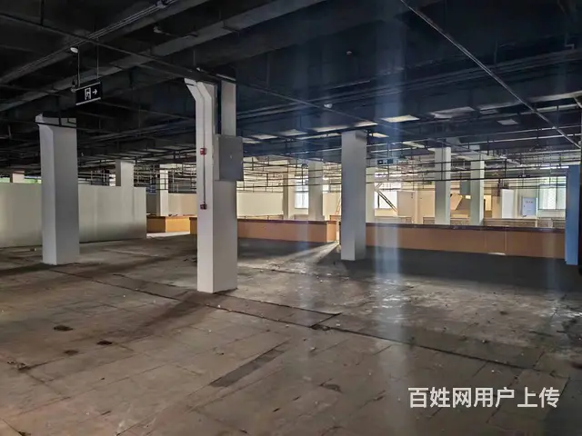 【搞定了！】南直路与公滨路交口3000平纯1层整租分租 - 图片 6