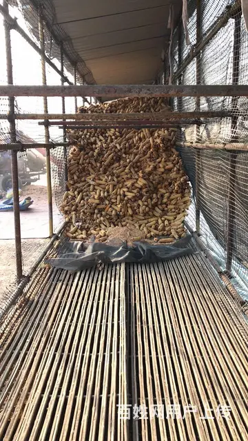 出售拖拉机（另售玉米篓子） - 图片 3