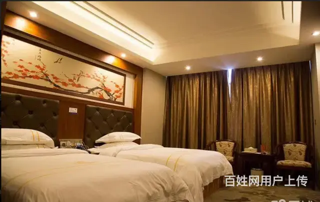 （速转店）大型宾馆酒店 豪华装修 - 图片 4