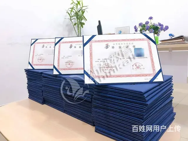 名校学历?国家认可?热门专业?轻松入学?随时学习? - 图片