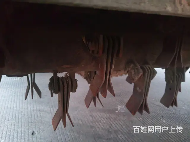 19年4E - 图片 4