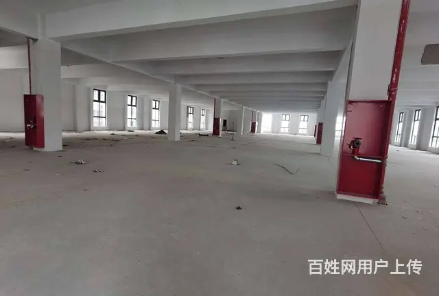 尚湖练塘全新独栋4层，每层1550平，可分租，配套设施齐全。 - 图片 3