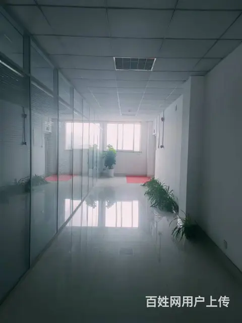 【创美】羊亭曲家河8500平+5600平新厂房出租，可分租 - 图片 4
