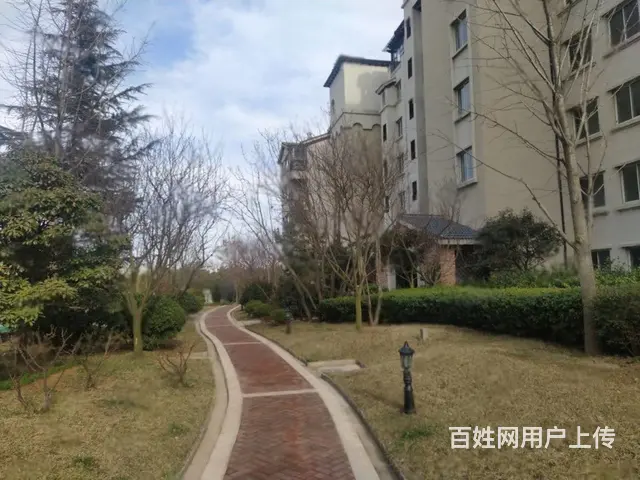 荣成海邑长滩，海景房,高楼层，门口沙滩，在家看大海 - 图片 11