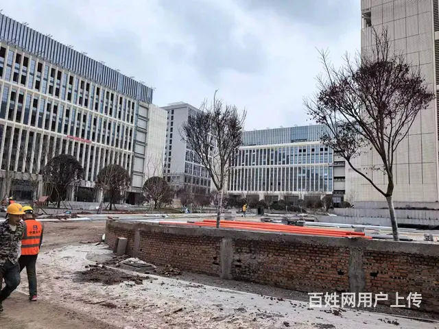 4438平一楼标准化厂房出租 10元/平 0物业费 - 图片 1