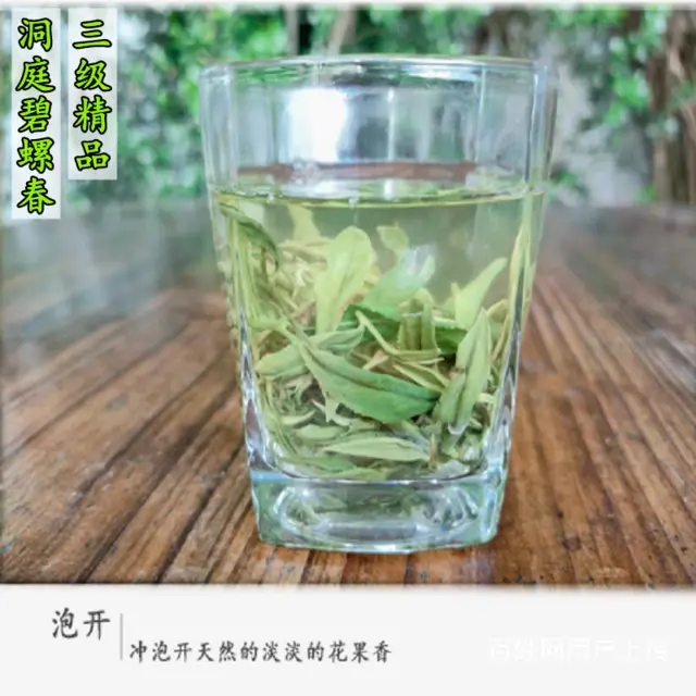 一芽一叶 . 苏州东山碧螺春茶叶正宗洞庭碧螺春绿茶 - 图片 4