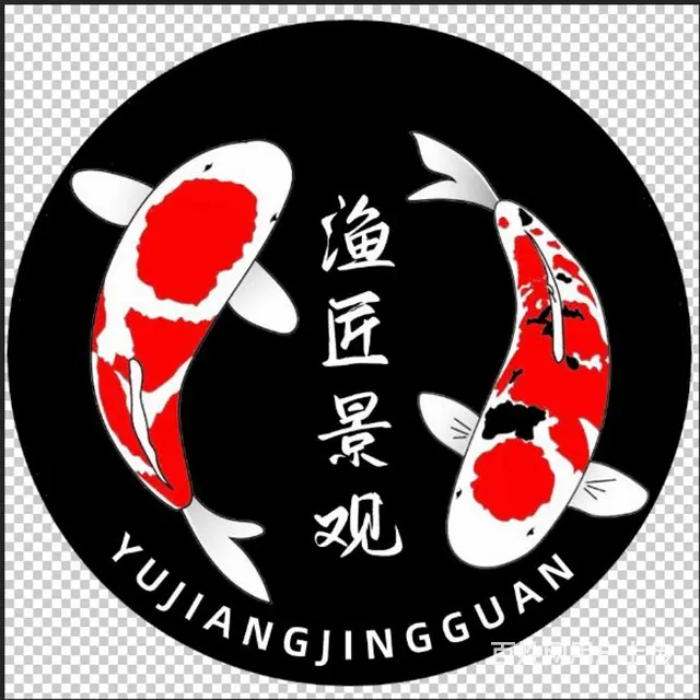 苏州渔匠鲤苑拉网上新鱼 - 图片 2