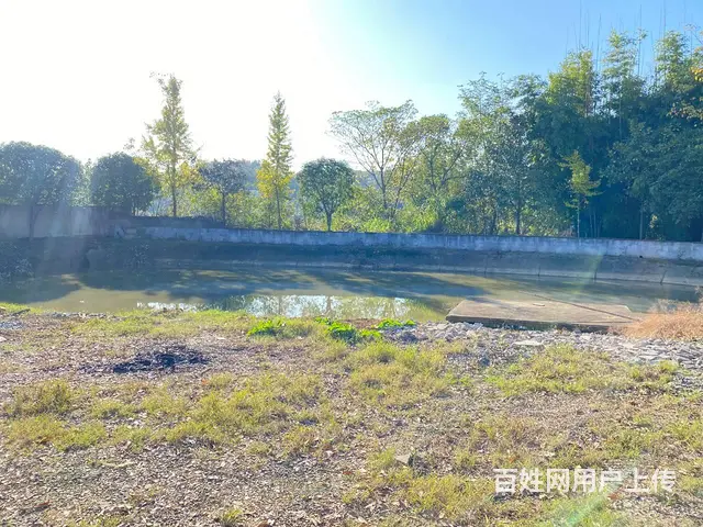 (房东直租)松雅湖，东八线旁600平厂房，带鱼塘菜地优价出租 - 图片 10