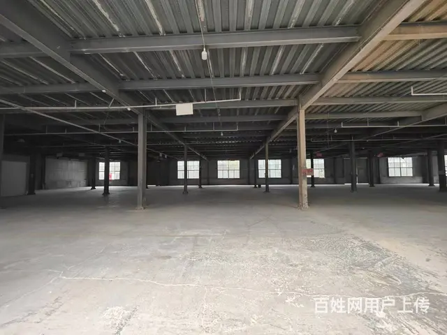 （徐州找店网）丰县蔡楼木业工业园钢结构厂房出租 - 图片 5