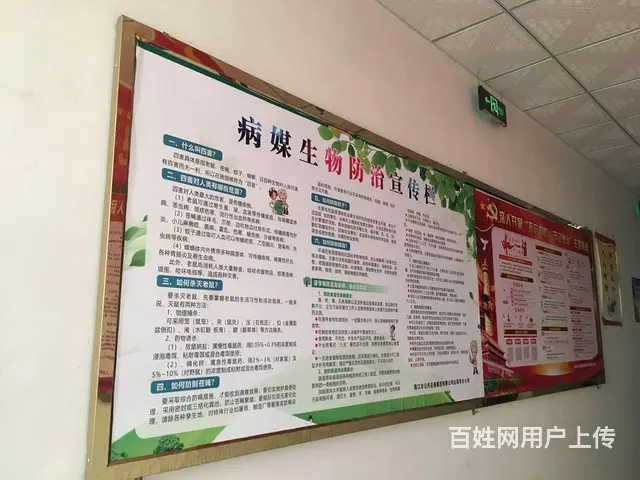 海口海甸岛做宣传栏广告海报车贴等漫晨广告店 - 图片 2