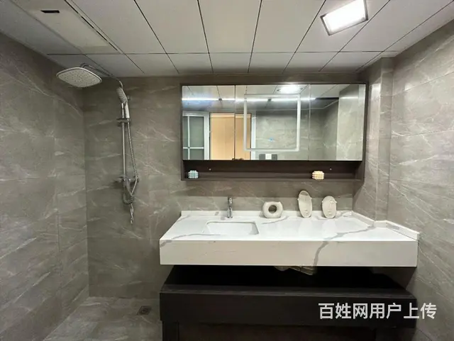 20多W买房送车送车位！中合智慧广场 精装复试公寓 轻轨口旁 - 图片 8